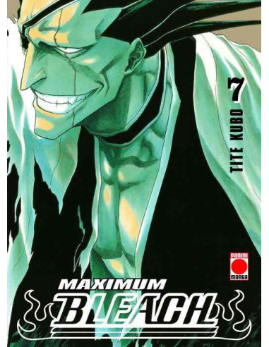 Bleach Maximum 07