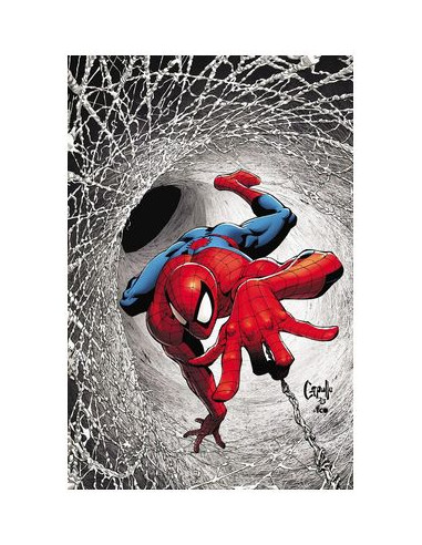 El Asombroso Spiderman 239 #30
