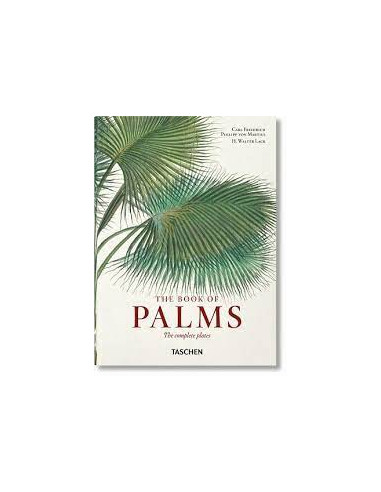 EL LIBRO DE LAS PALMERAS-THE BOOK OF PALMS-40 ANIV.