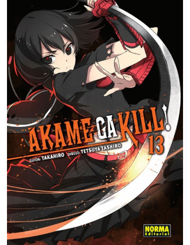 Akame ga kill! 13