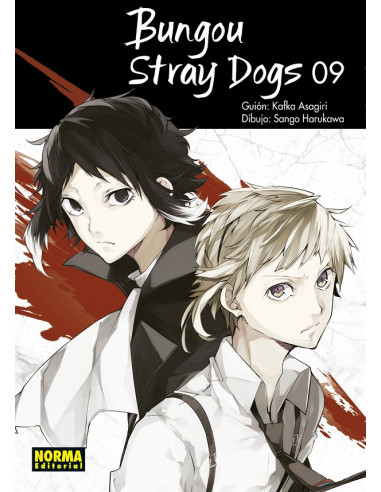 Bungou stray dogs 09