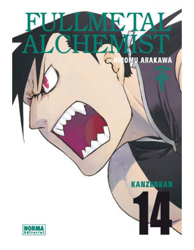 Fullmetal alchemist kanzenban 14